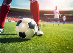 欧会杯,霍尔关键射,门致胜,万博manbetx体育平台,万博体育官网,万博体育app下载,ManBetX,SPORTS