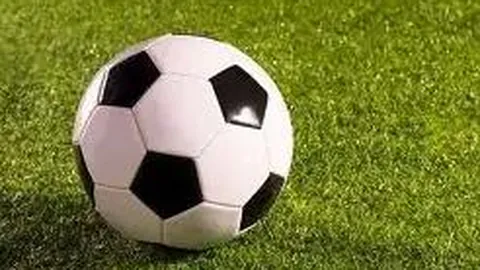 NBA常规赛：国王力克独行侠取胜