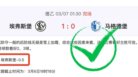 布莱顿官方宣布：欣谢尔伍德续约至2029年6月